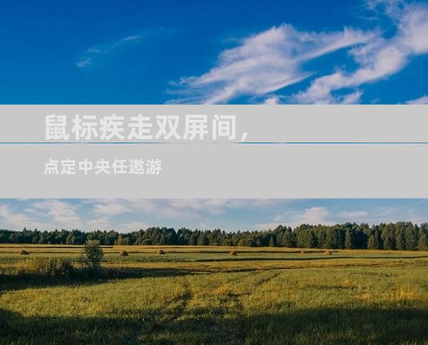 鼠标疾走双屏间，点定中央任遨游